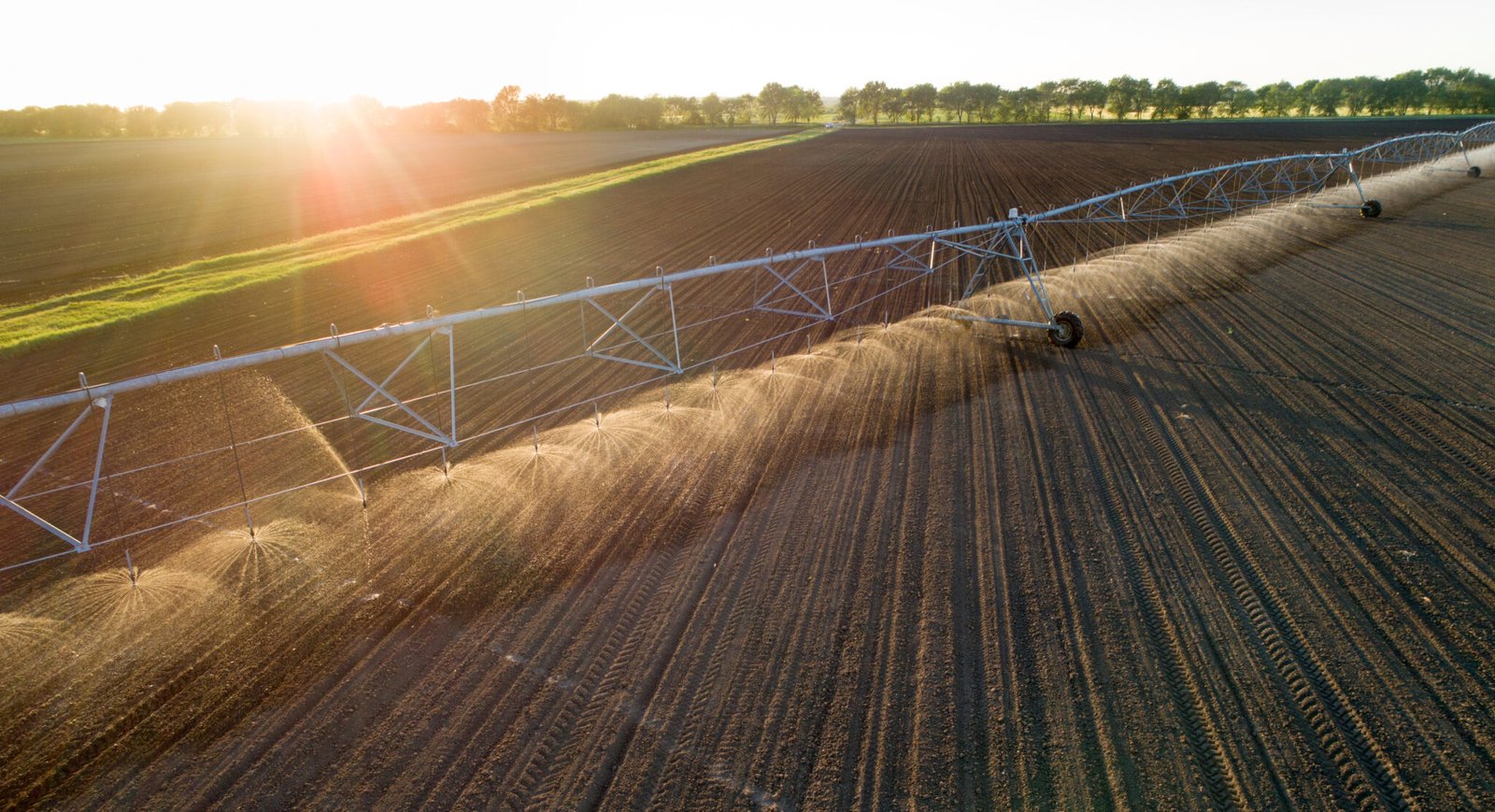 Aerial image of center pivot irrigation system working on round field at sunset in spring