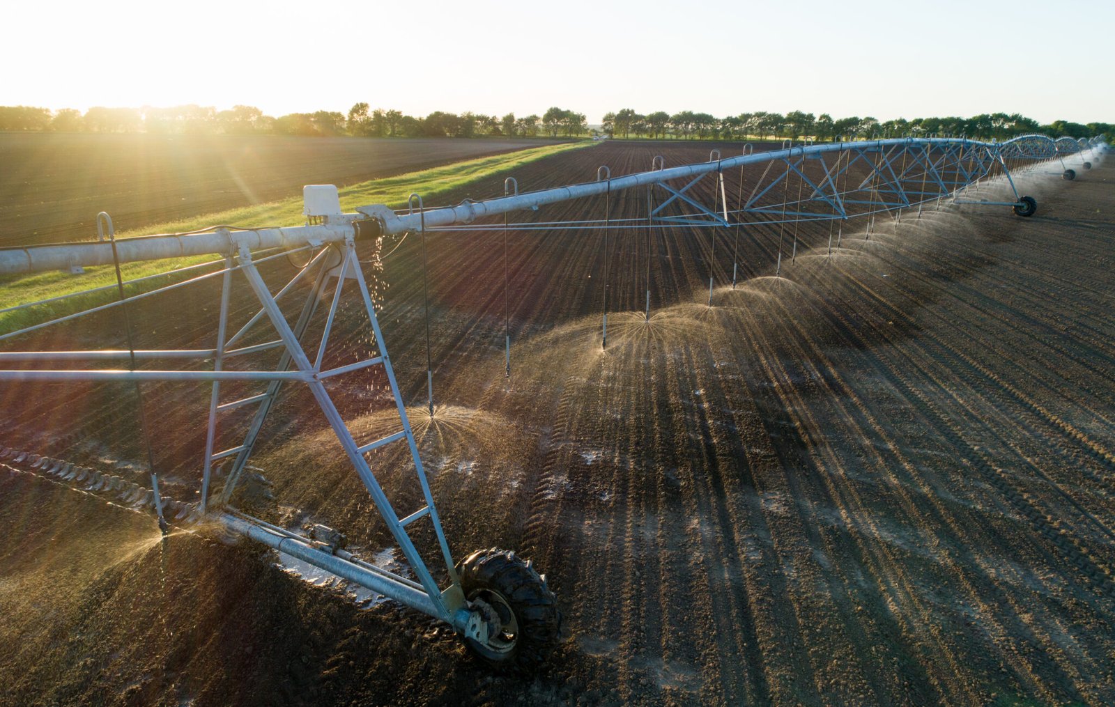 Aerial image of center pivot irrigation system working on round field at sunset in spring