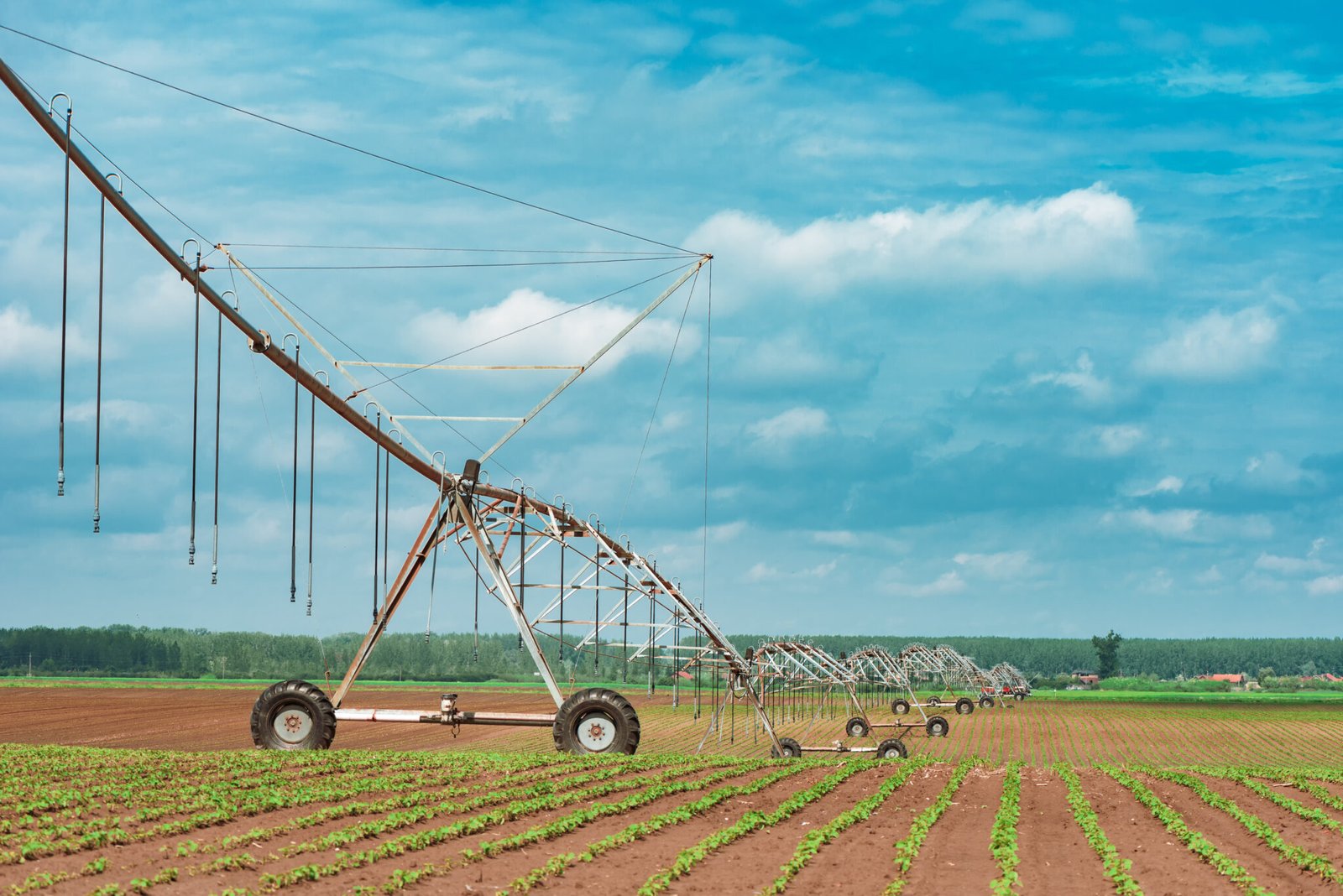 Pivot irrigation system in cultivated soybean and corn field, agricultural equipment for watering crops