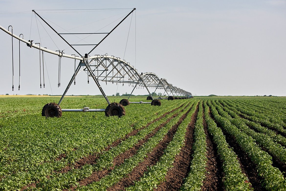 A center pivot sprinkler system watering a grain field in the fertile farm fields.